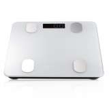 RAF R.10028 TELESNA VAGA DIGITALNA - slika 3