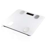 RAF R.10028 TELESNA VAGA DIGITALNA - slika 4