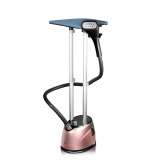 RAF R.3046P PEGLA ZA VERTIKALNO PEGLANJE 2000W - slika 1